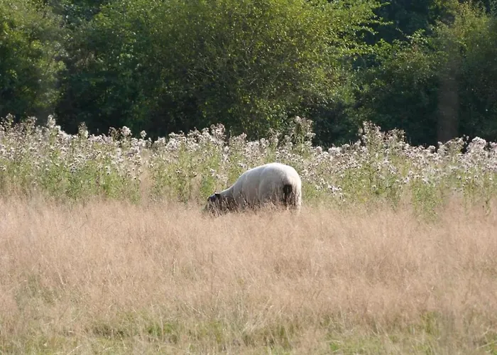 In Sainte-marguerite *